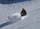 Slide f4